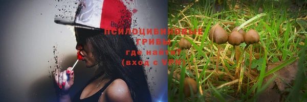 спайс Богородск