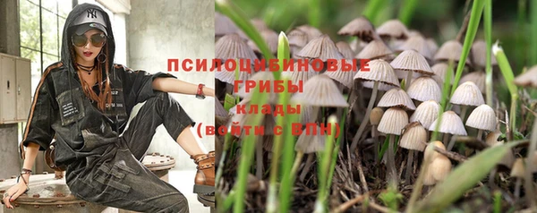 кристаллы Богородицк